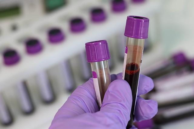 laboratory-3827736_640.jpg