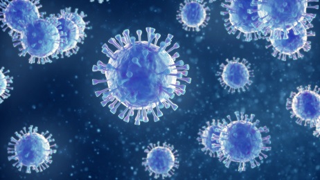 coronavirus.jpg